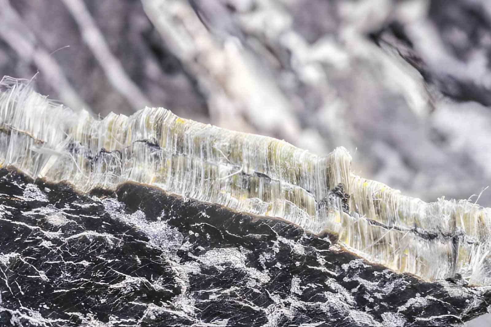 Asbestos removal services