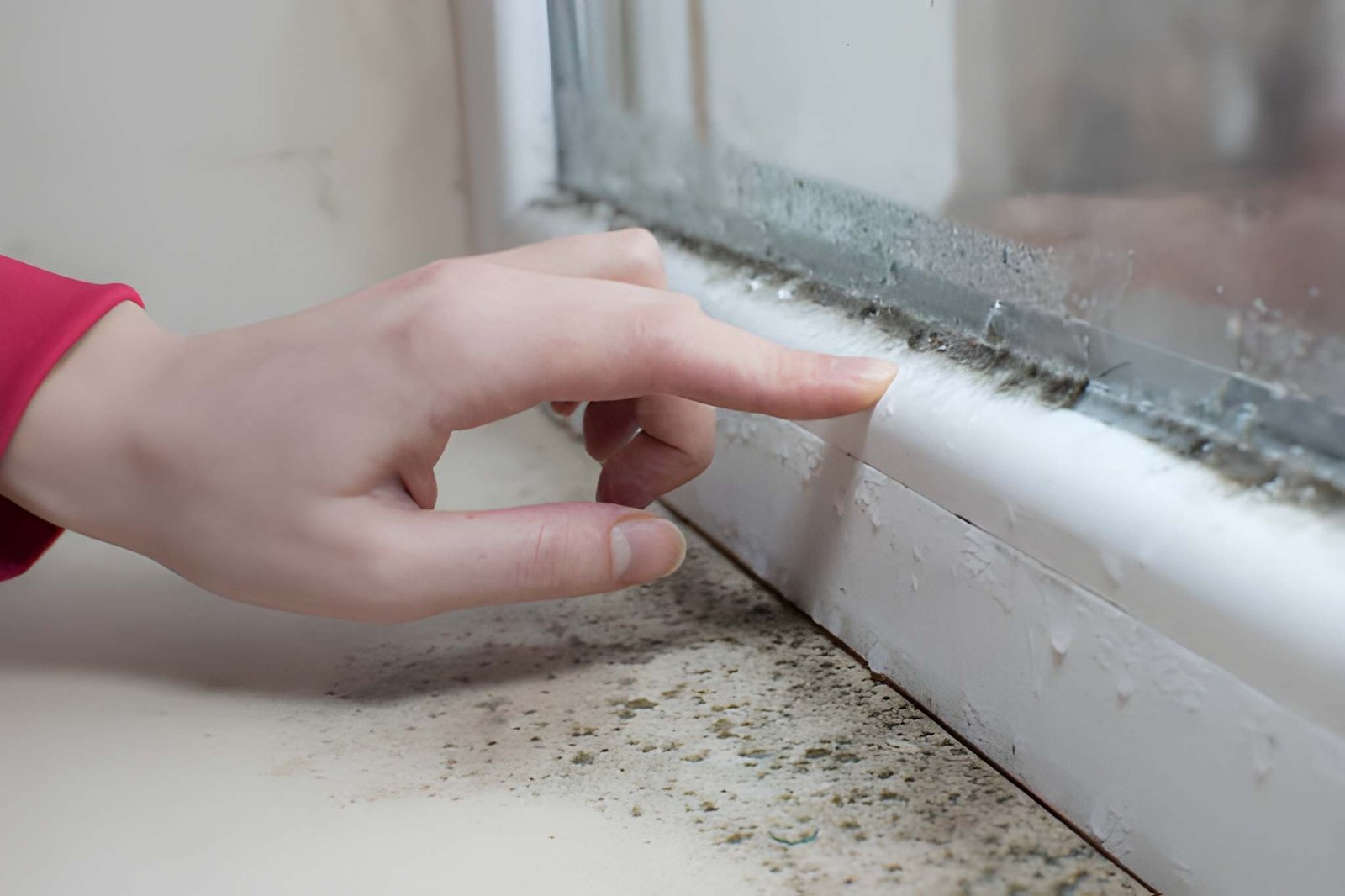 Crawl space mold remediation in Sayville
