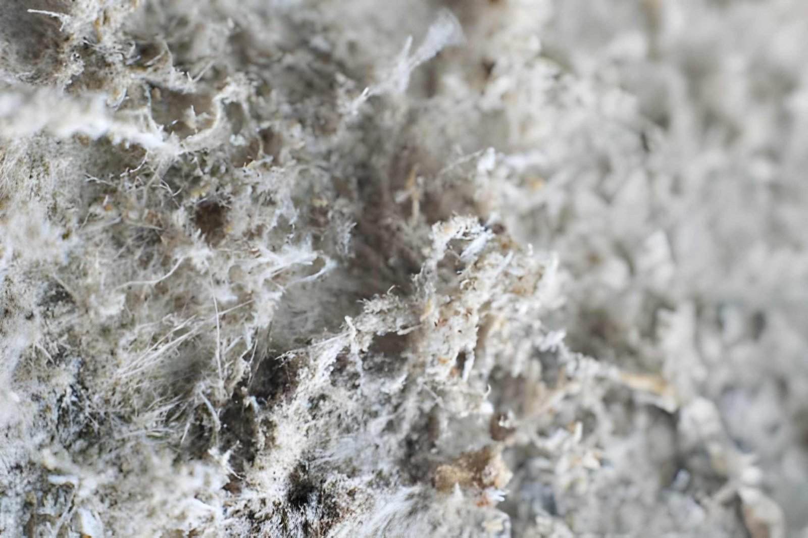 Asbestos ceiling abatement in Smithtown