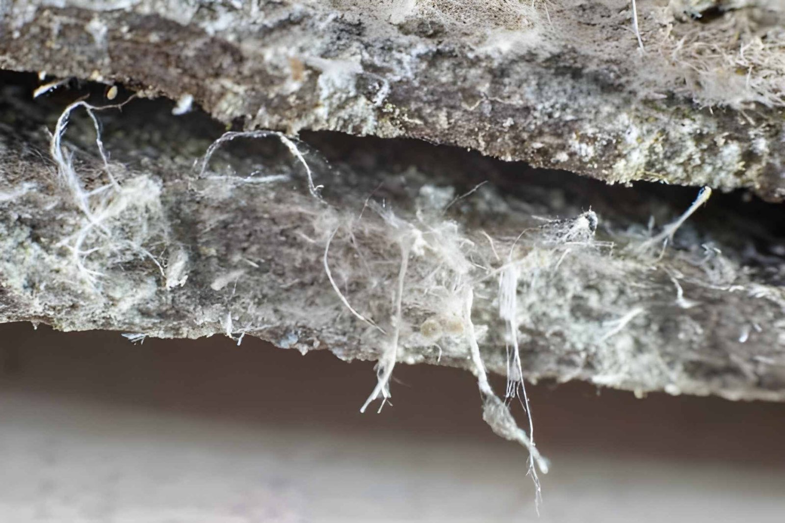 Detailed photography of constructional material with asbestos fibres
