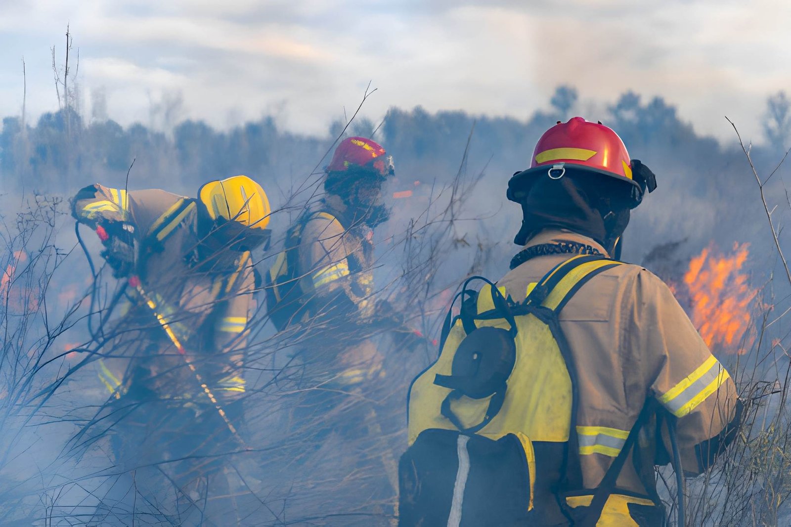 Firefighters put out a fire in the forest