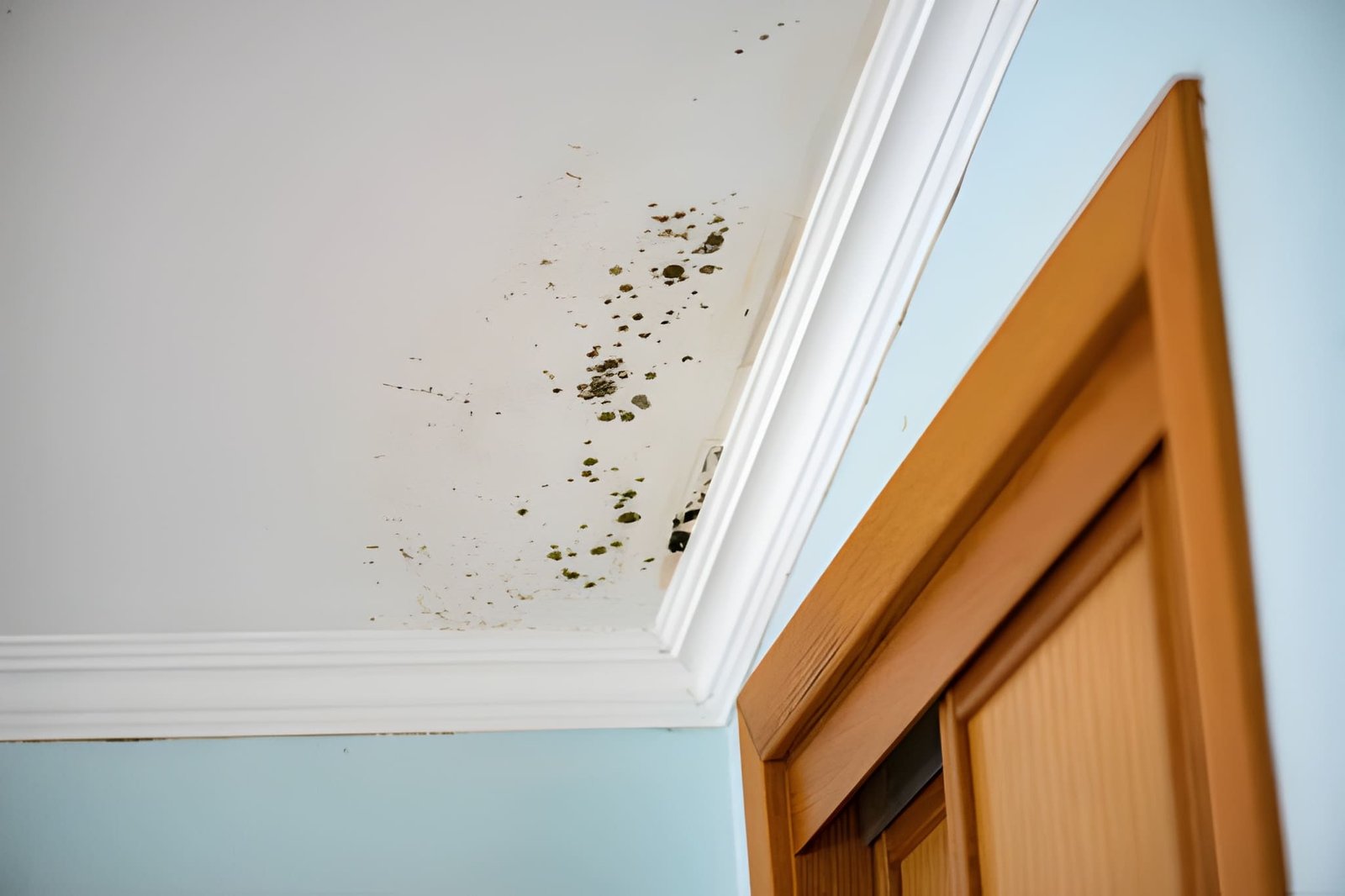 Mold infested ceiling in a bedroom dangerous