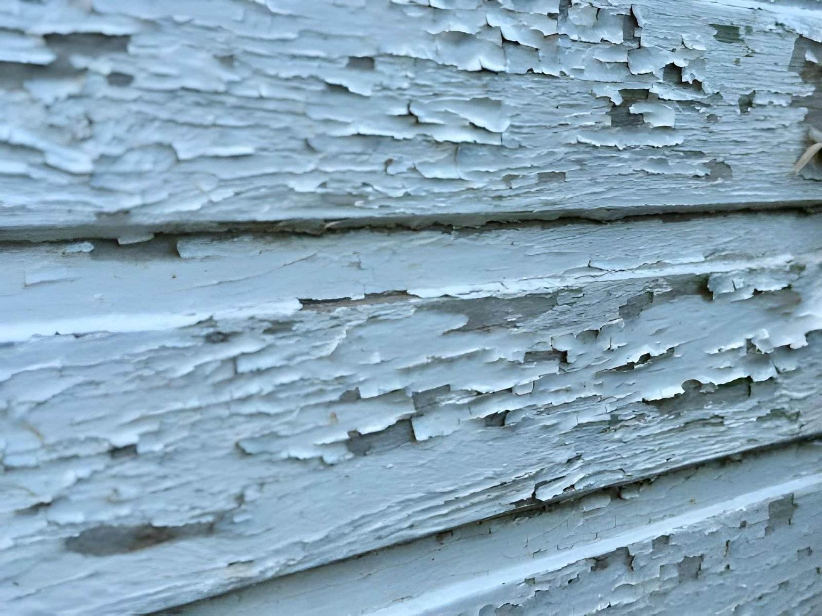 The image shows peeling white paint on a wooden surface