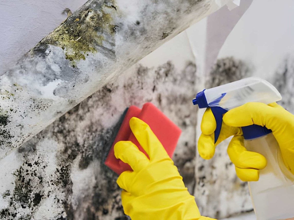a person wearing yellow rubber gloves and holding a spray